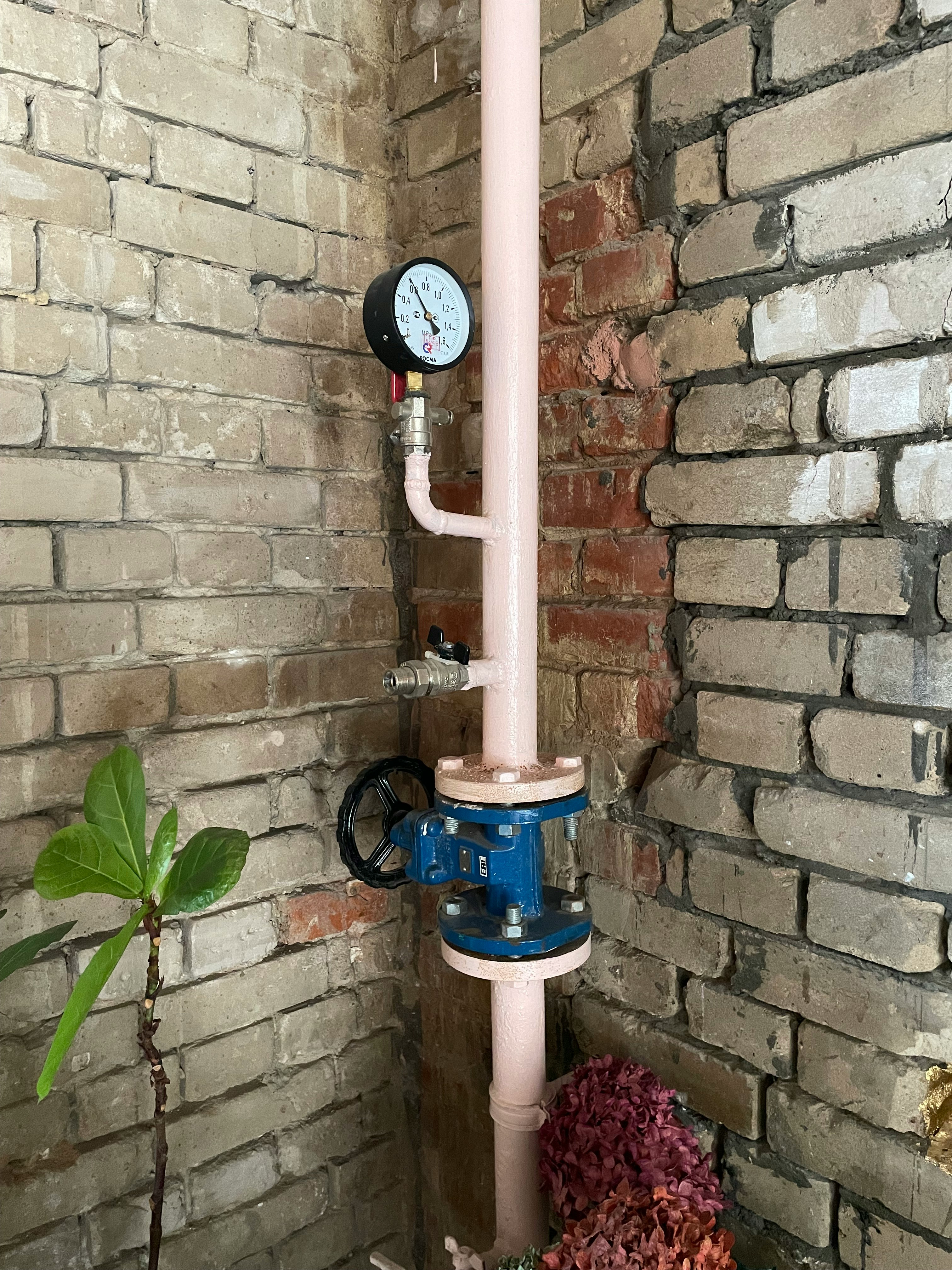 Mesure d'humidité avec humidimètre pour délimiter une zone de fuite à Strasbourg
